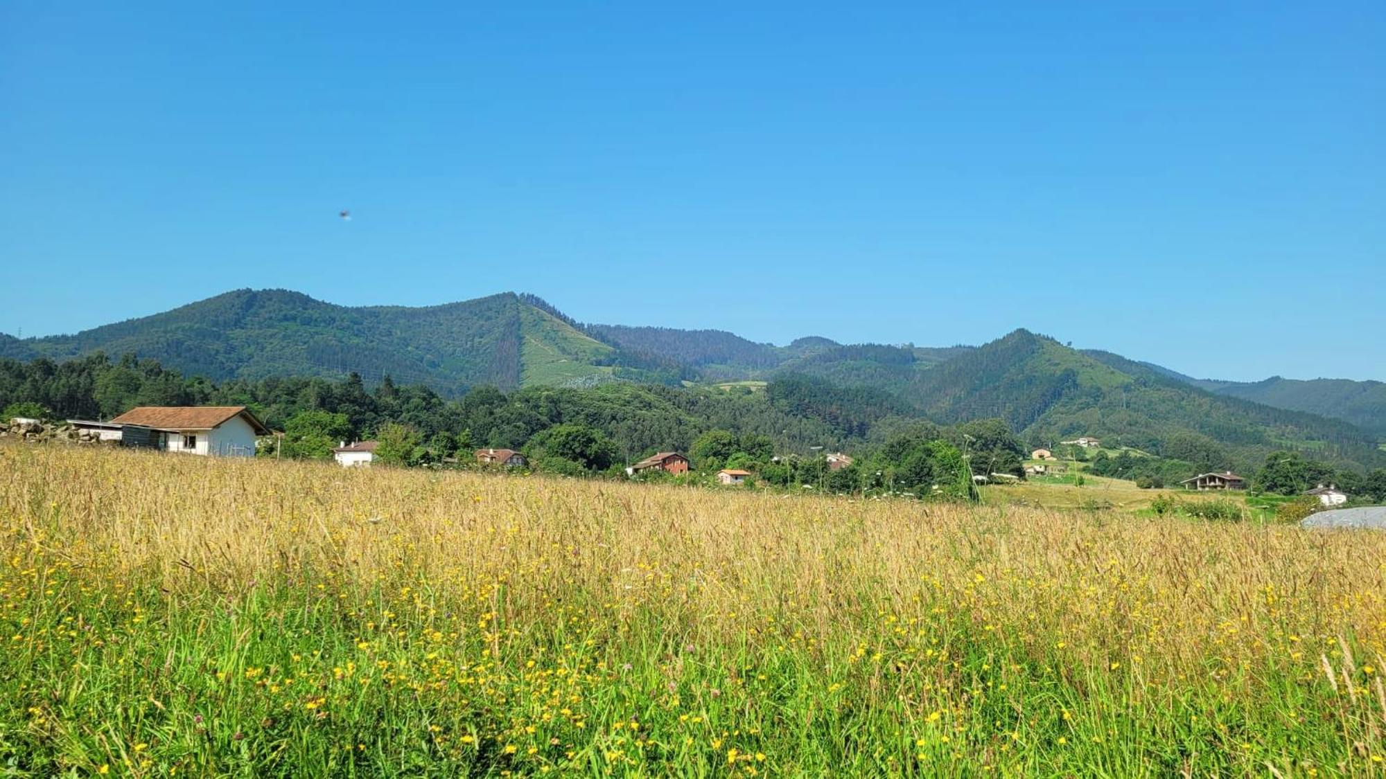 Hotel Aldori Landetxea - Reserva De La Biosfera Urdaibai - Adults Only Múgica Exterior foto